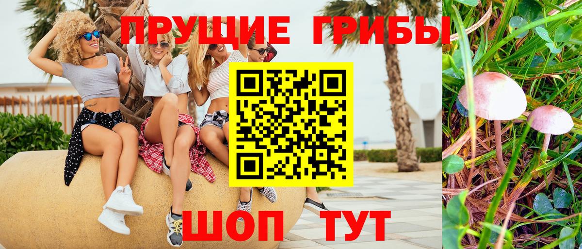 Псилоцибиновые грибы мицелий Симферополь