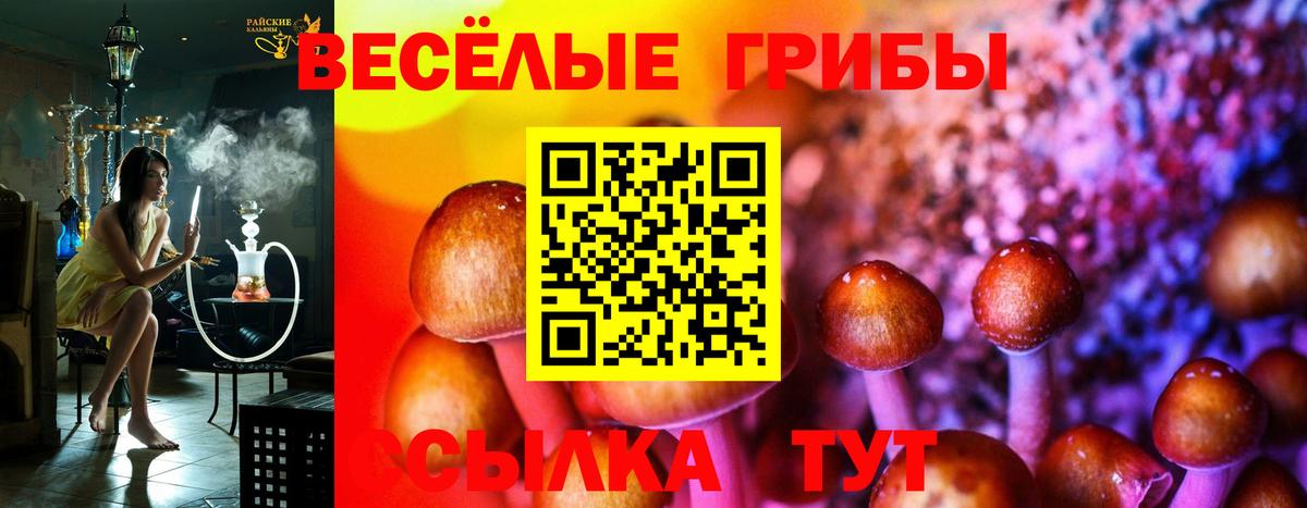 Симферополь  Галлюциногенные грибы прущие грибы  Вход с VPN 
